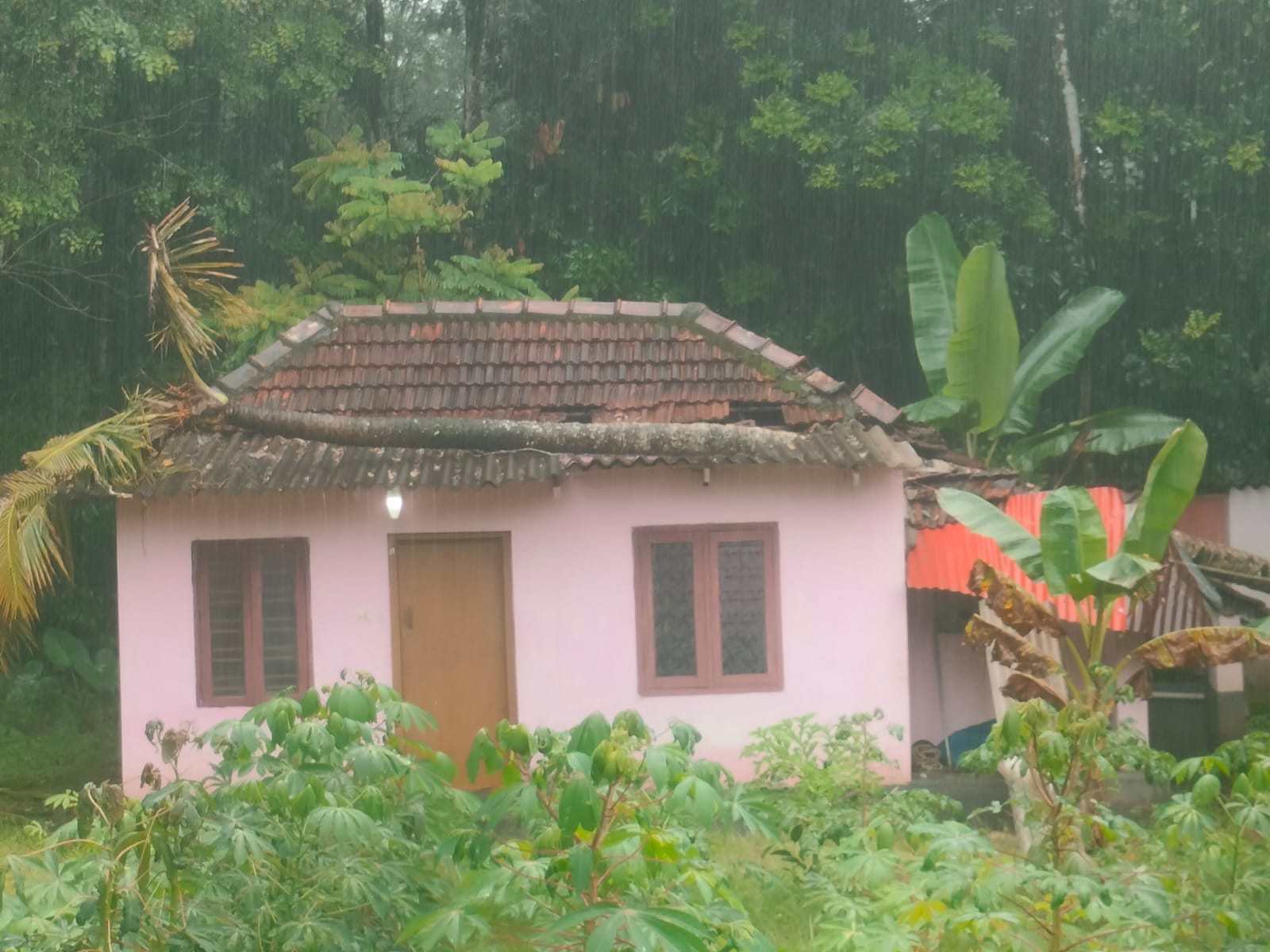 മരം വീണ് വീടു തകര്‍ന്നു